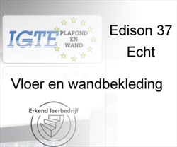 Home - IGTE Plafond en Wand - Vloer en wandbekleding&nbsp;Echt